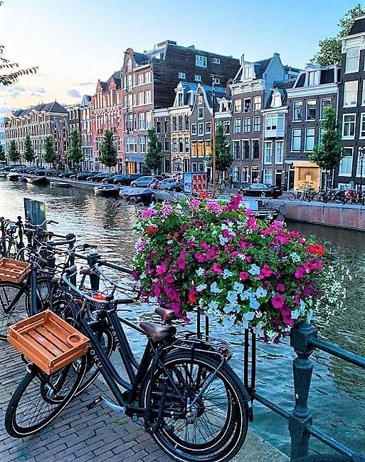 bicycles parked on the side of a river with flowers in baskets next to each other