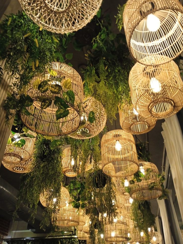 the hanging lights are made out of wickers and plants in different shapes and sizes