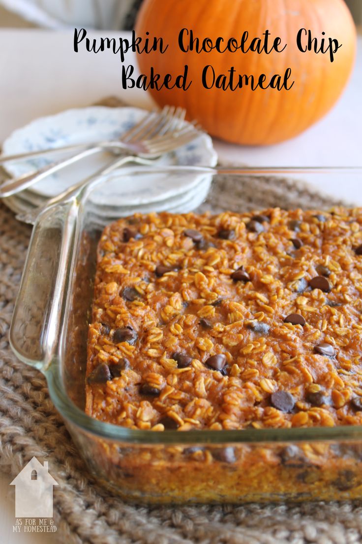 pumpkin chocolate chip baked oatmeal in a glass baking dish next to an orange pumpkin