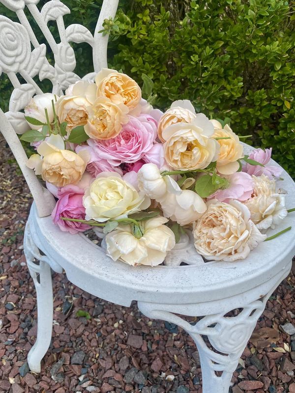 a bunch of flowers sitting on top of a white chair next to some rocks and bushes