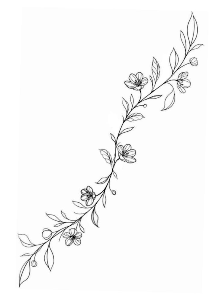 a line drawing of flowers and leaves on a white background