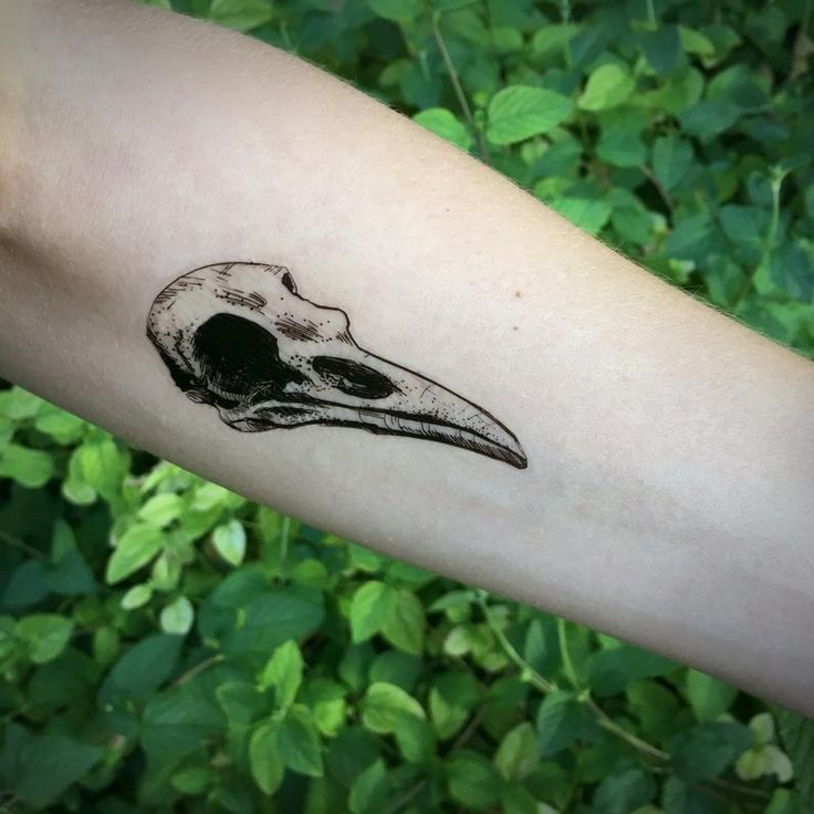 a black and white bird skull tattoo on the left arm with green leaves in the background