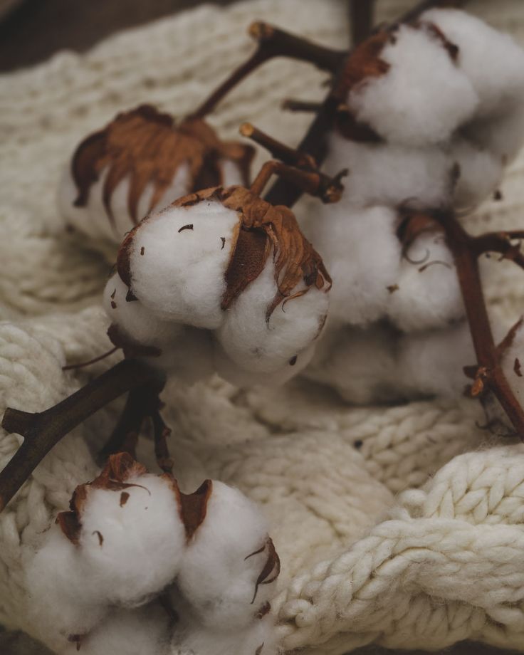 cotton balls are sitting on top of a knitted blanket with brown and white leaves