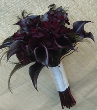 the bridal bouquet is made up of purple flowers and black feathers on white fabric