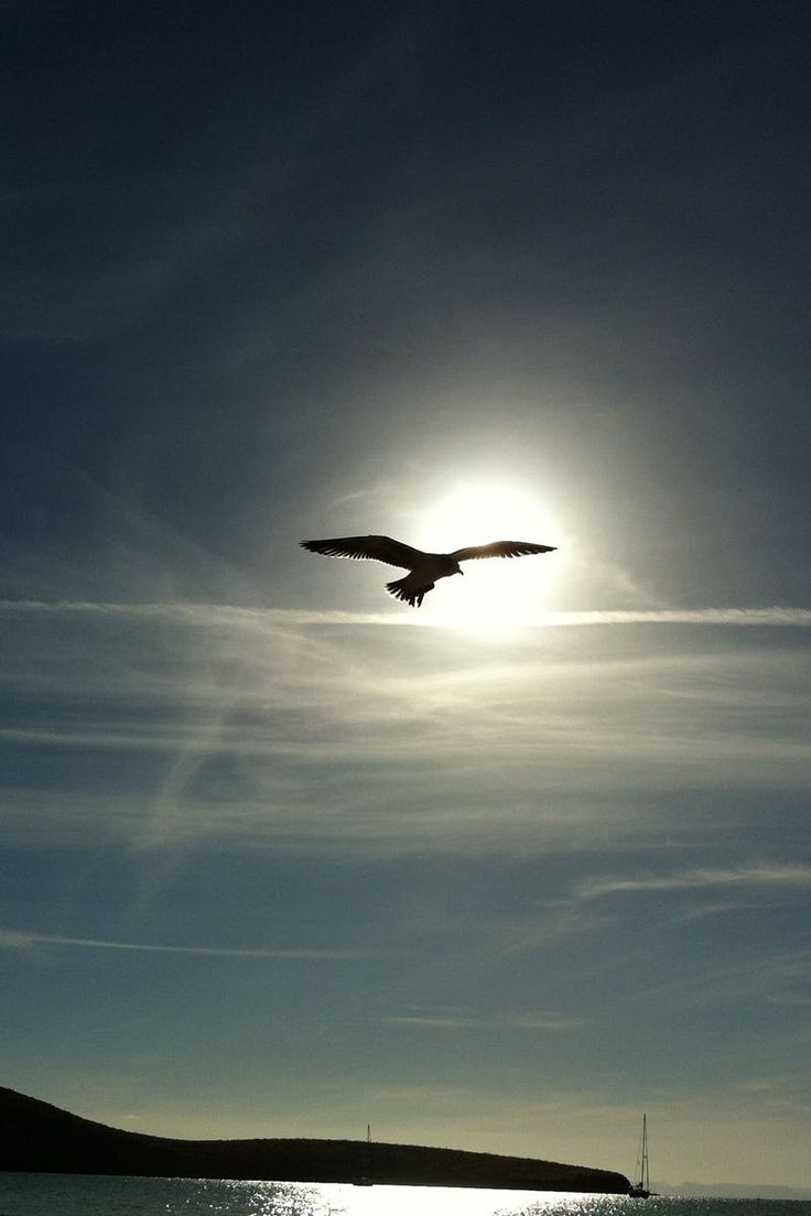 the bird is flying over the water under the sun's shadow and some clouds