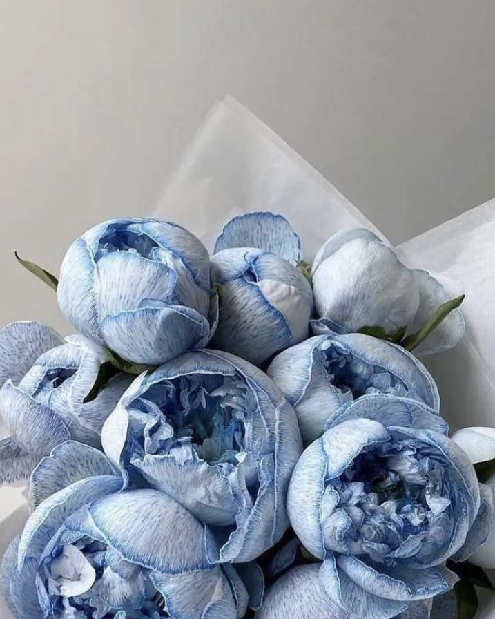 a bouquet of blue flowers sitting on top of a table