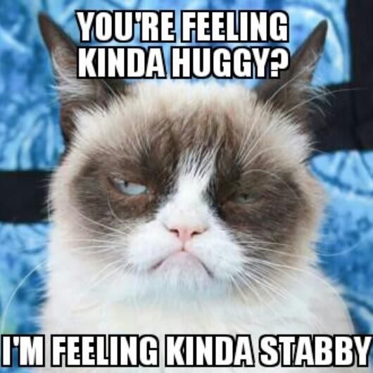 a grumpy cat sitting on top of a blue chair with the caption wake me again to tell me'cute kitty and you will suffer