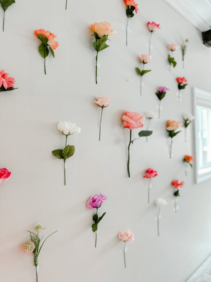 flowers are arranged on the wall and placed in order to create a beautiful display for someone's special occasion