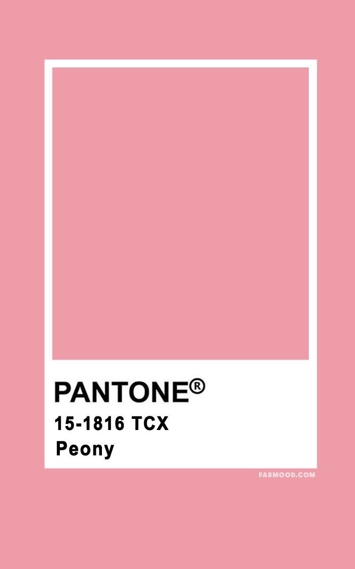 pantone's pink color is shown in this image