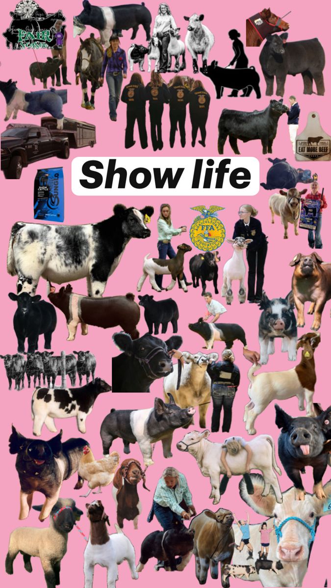 a poster with many different types of dogs and people in the same photo on it