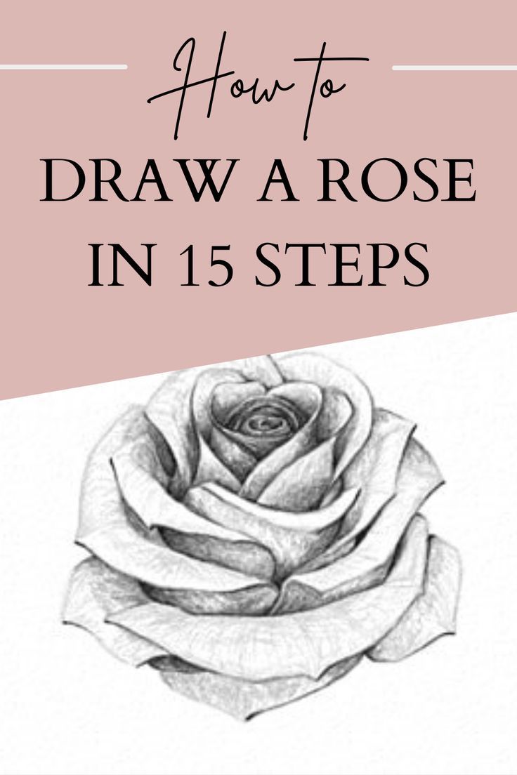 a drawing of a rose with the words how to draw a rose in 15 steps