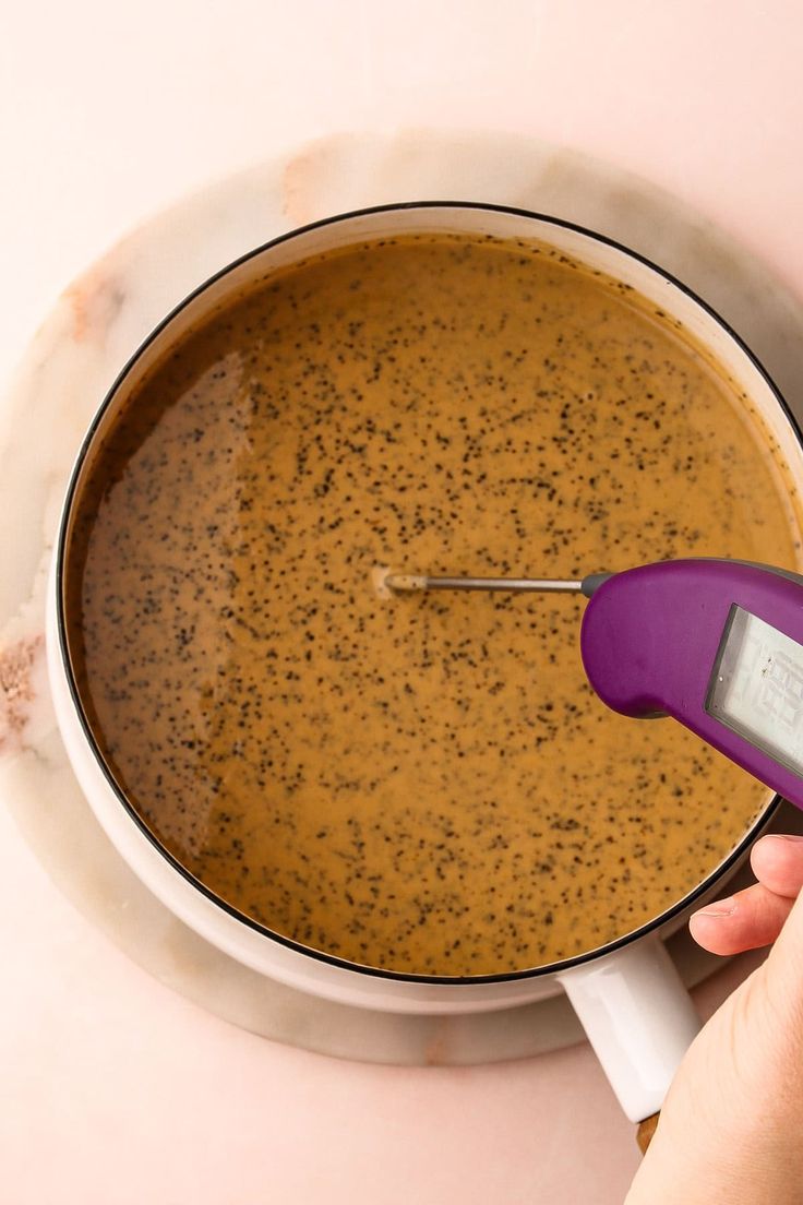 a person using a thermometer to measure food in a pot