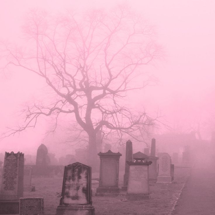 a cemetery with tombstones and trees in the fog