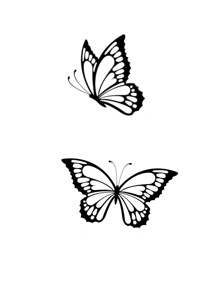 two black and white butterflies flying side by side