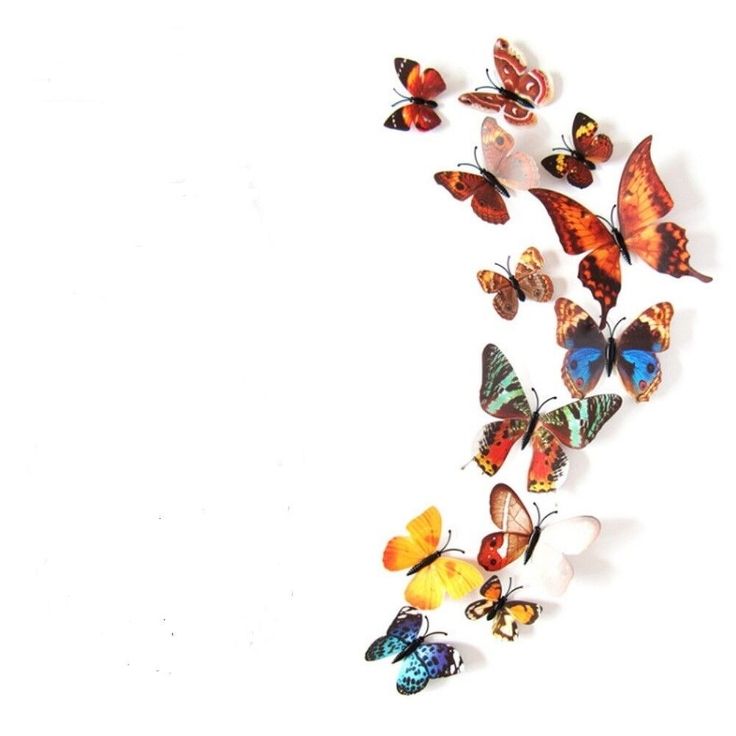 a group of multicolored butterflies on a white background