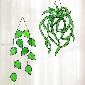 two green plants hanging from the side of a window