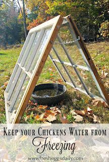 a chicken house with the words keep your chickens water from freezing in front of it