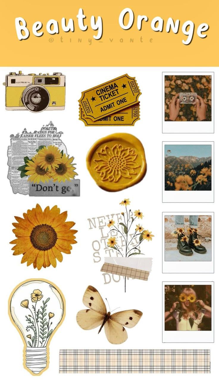 an orange and yellow poster with some pictures on the wall, including sunflowers