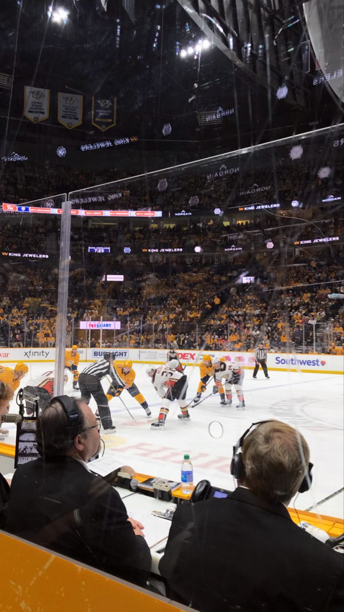 an ice hockey game is being played in a stadium with people sitting on the sidelines watching