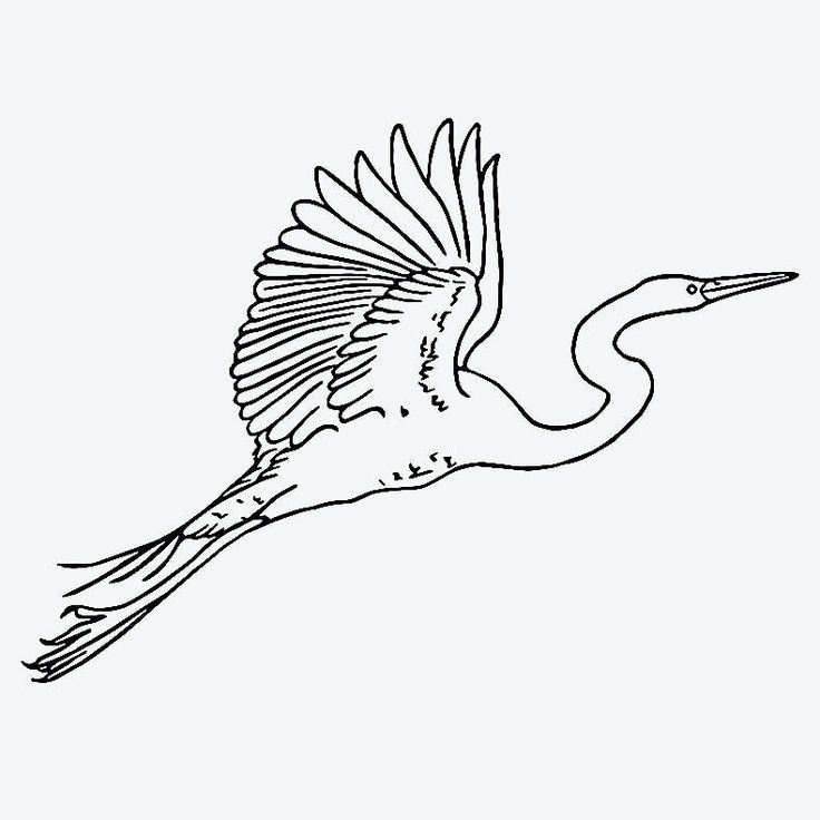 a black and white drawing of a bird with its wings spread out in the air