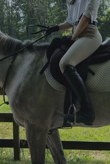 a woman riding on the back of a gray horse in a fenced area with trees