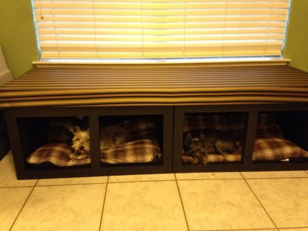 three dogs are sleeping in their kennels under the window sill on the tiled floor