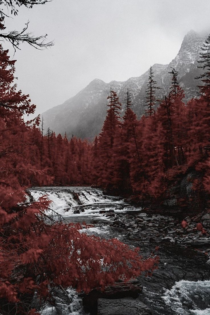 a river running through a forest filled with trees and snow covered mountains in the background