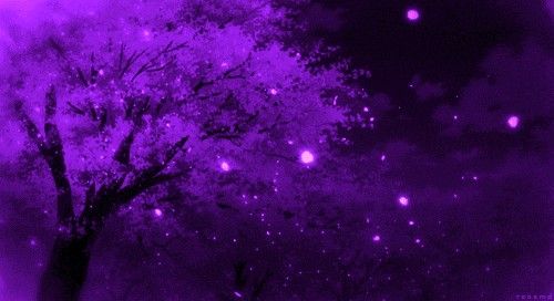 a tree with purple lights in the background