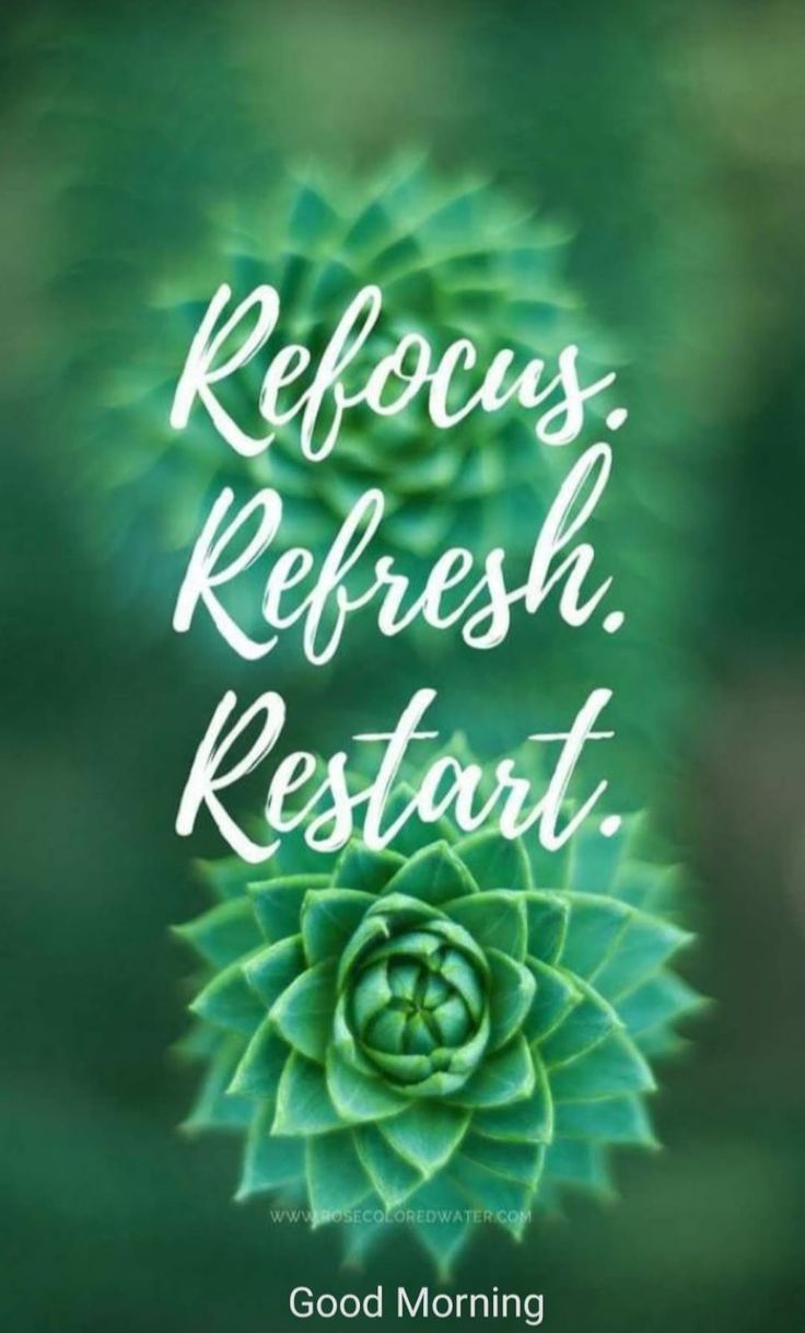 a green plant with the words refcuss refresh restoat on it's side