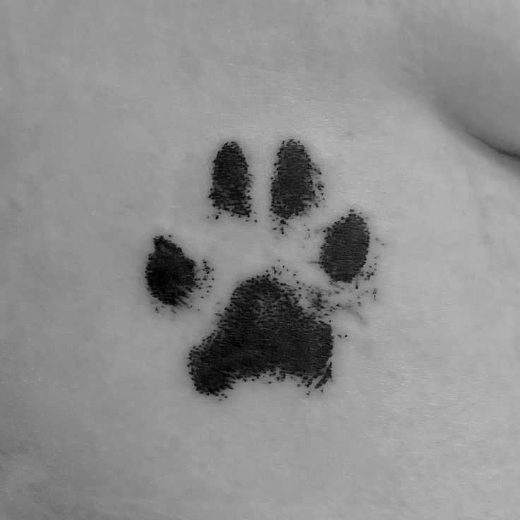 a black and white photo of a dog's paw print on someones stomach