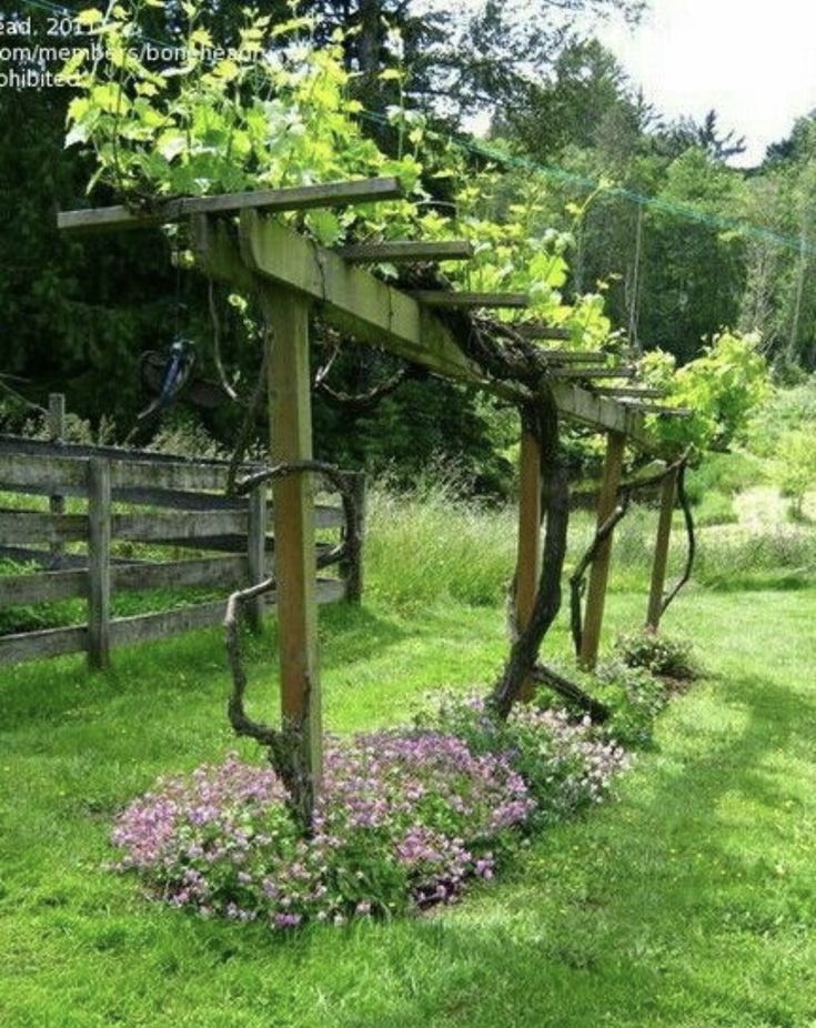 an arbor with vines and flowers growing in the grass next to a wooden fence on a sunny day