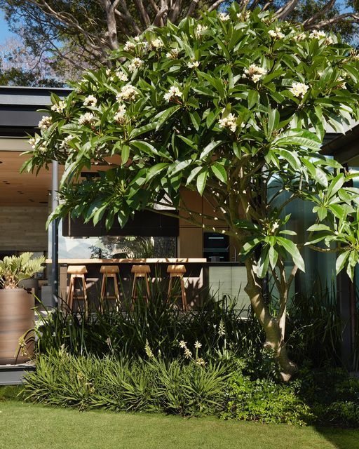 an outdoor dining area with potted plants and flowers in the foreground, next to a house