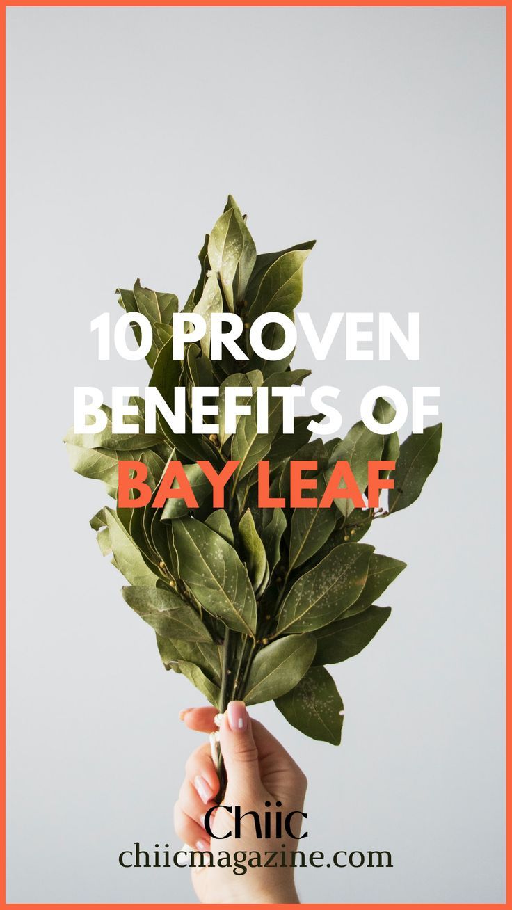 BAY LEAVES BENEFITS, REMEDIES AND USES Bay Leaf Tea Benefits, Bay Leaves Uses, Bay Leaf Benefits, Burn Bay Leaves, Bay Leaf Tea, Bay Laurel Tree, Burning Bay Leaves, Health Corner, Laurel Tree