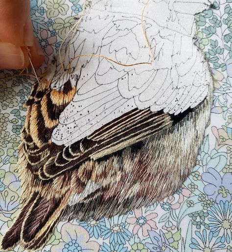 a close up of a bird on a flowered surface with a person's hand touching it