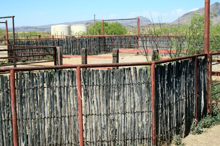 the fence is made of bamboo sticks and metal bars, with mountains in the background