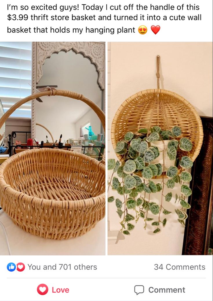 a basket hanging on the wall next to a mirror and another photo with plants in it