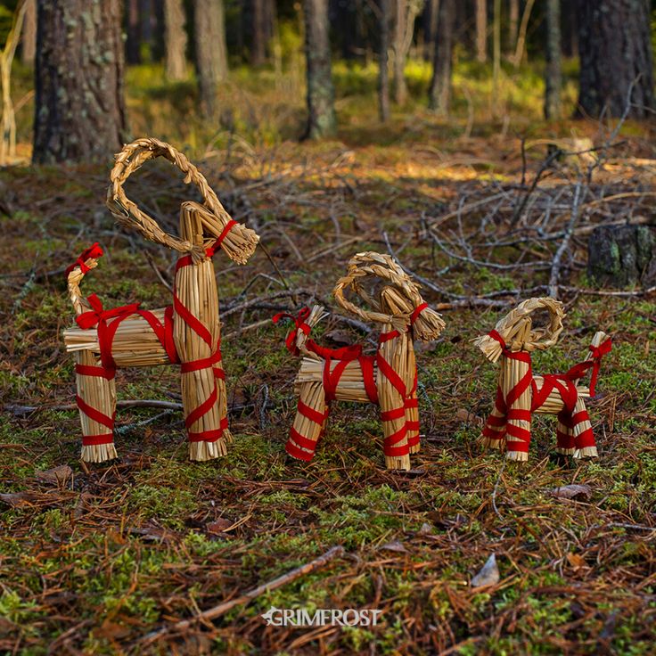 three wooden horses tied up in the woods