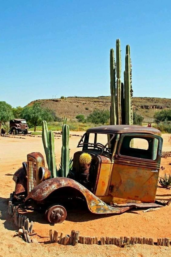 an old rusted truck sitting in the middle of a desert with cacti