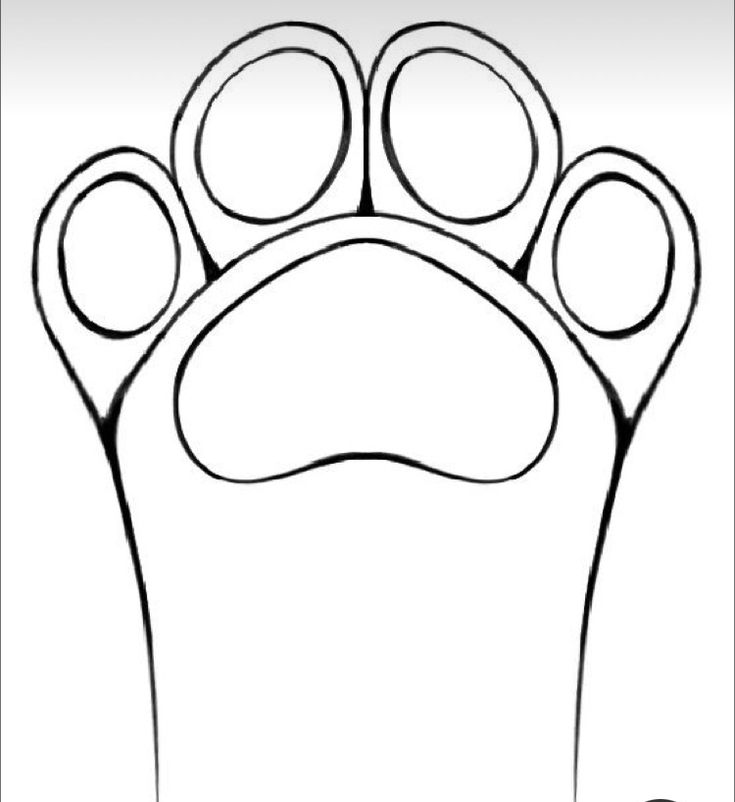 an animal's paw is shown in the shape of a cat's paw