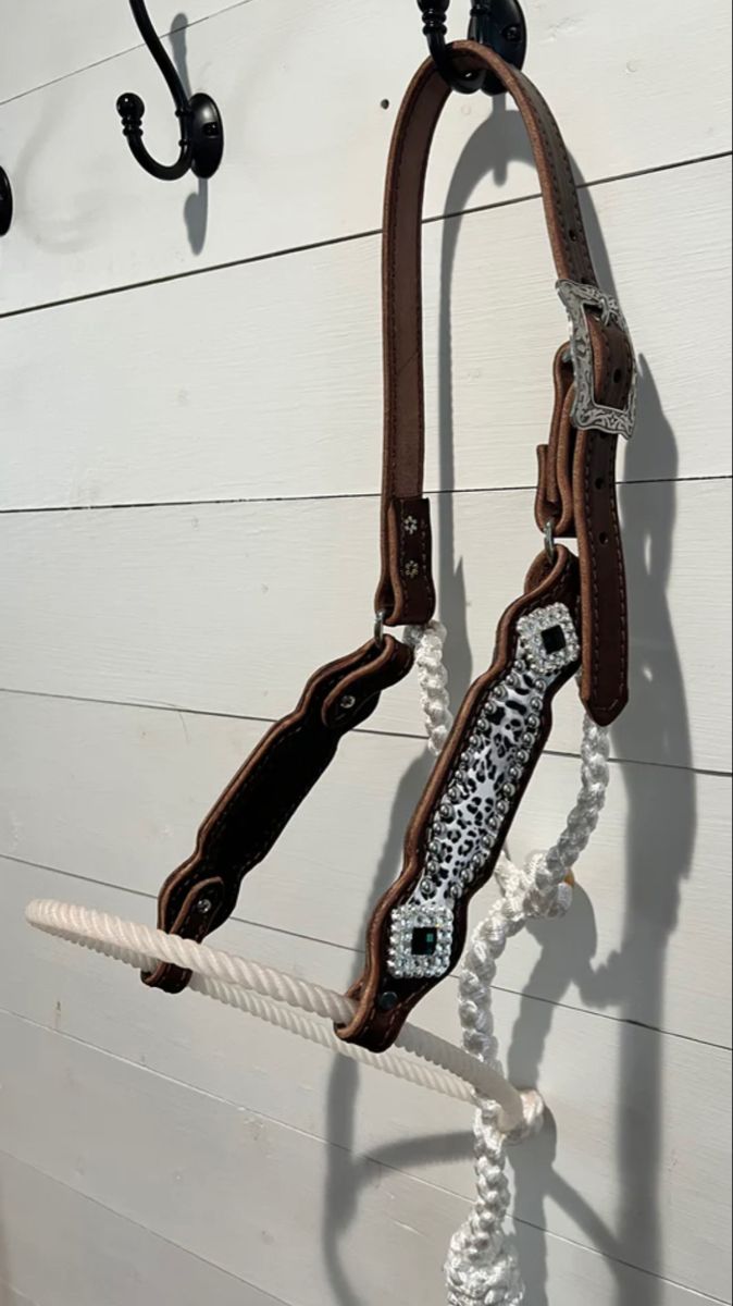 a horse bridle hanging on the side of a white wall next to a rope