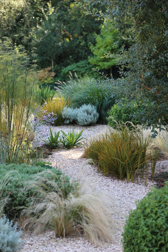 a garden with lots of plants and gravel