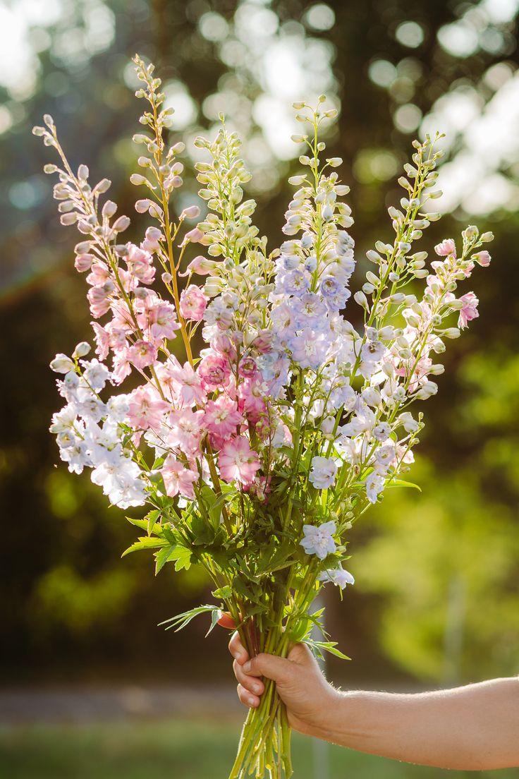 a person holding a bouquet of flowers in their hand with the sun shining through the trees behind them