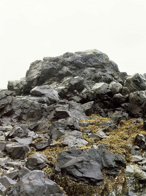 rocks and moss growing on the ground in front of a white sky with some clouds