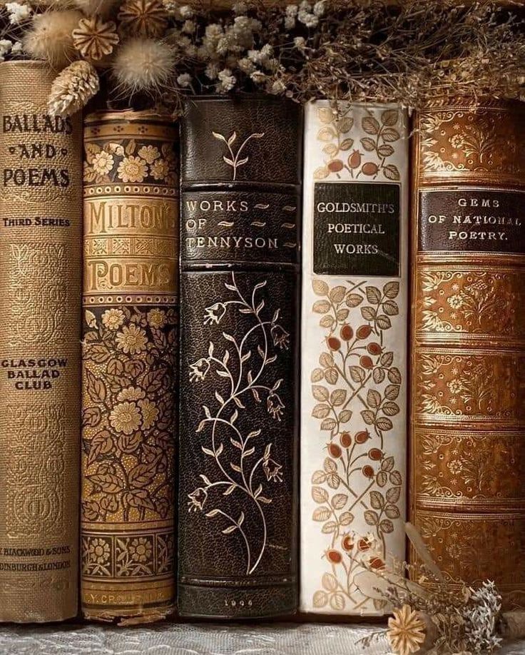 several books are lined up on a shelf in front of pine cones and snowflakes