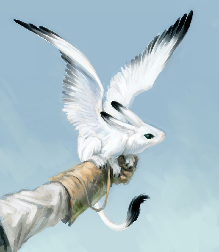 a white bird flying over a person's arm