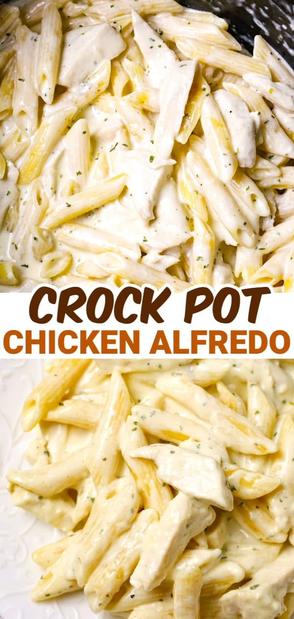 crock pot chicken alfredo is an easy dinner recipe