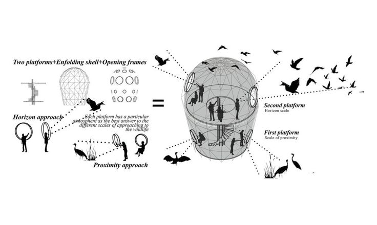 the diagram shows how birds are flying around and around an object with information about its structure