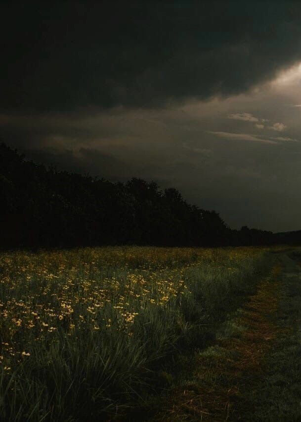 the sun shines brightly through dark clouds over a field with wildflowers and grass