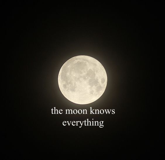 a full moon with the words, the moon knows everything