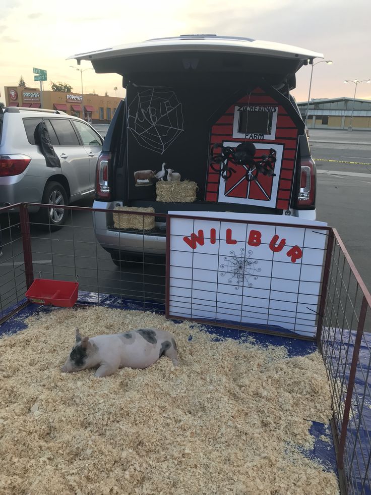 a small animal laying on top of hay in front of a van with a sign